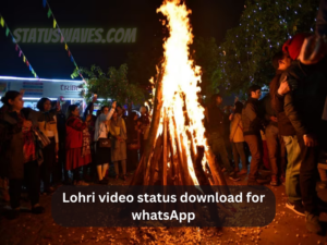 Lohri video status download for whatsApp