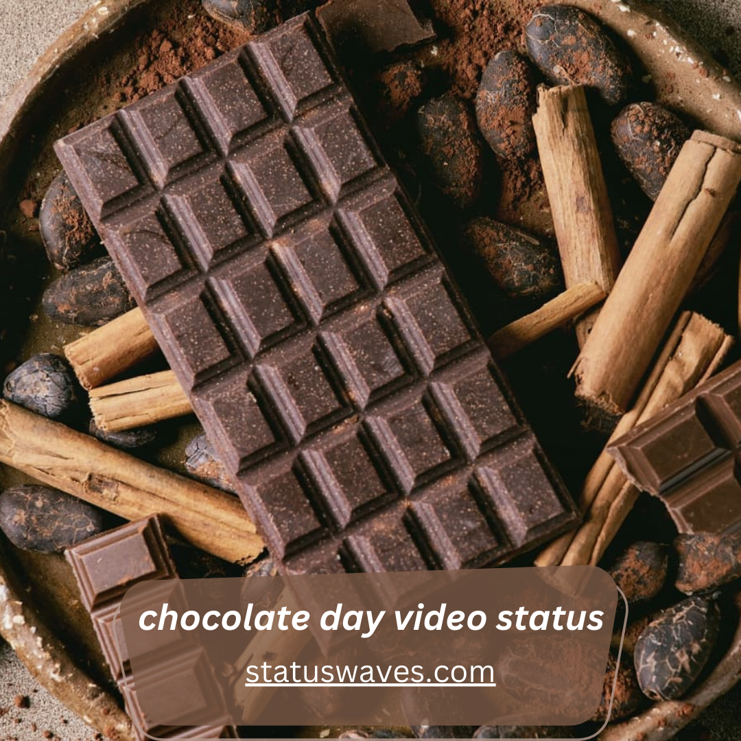 chocolate day video status