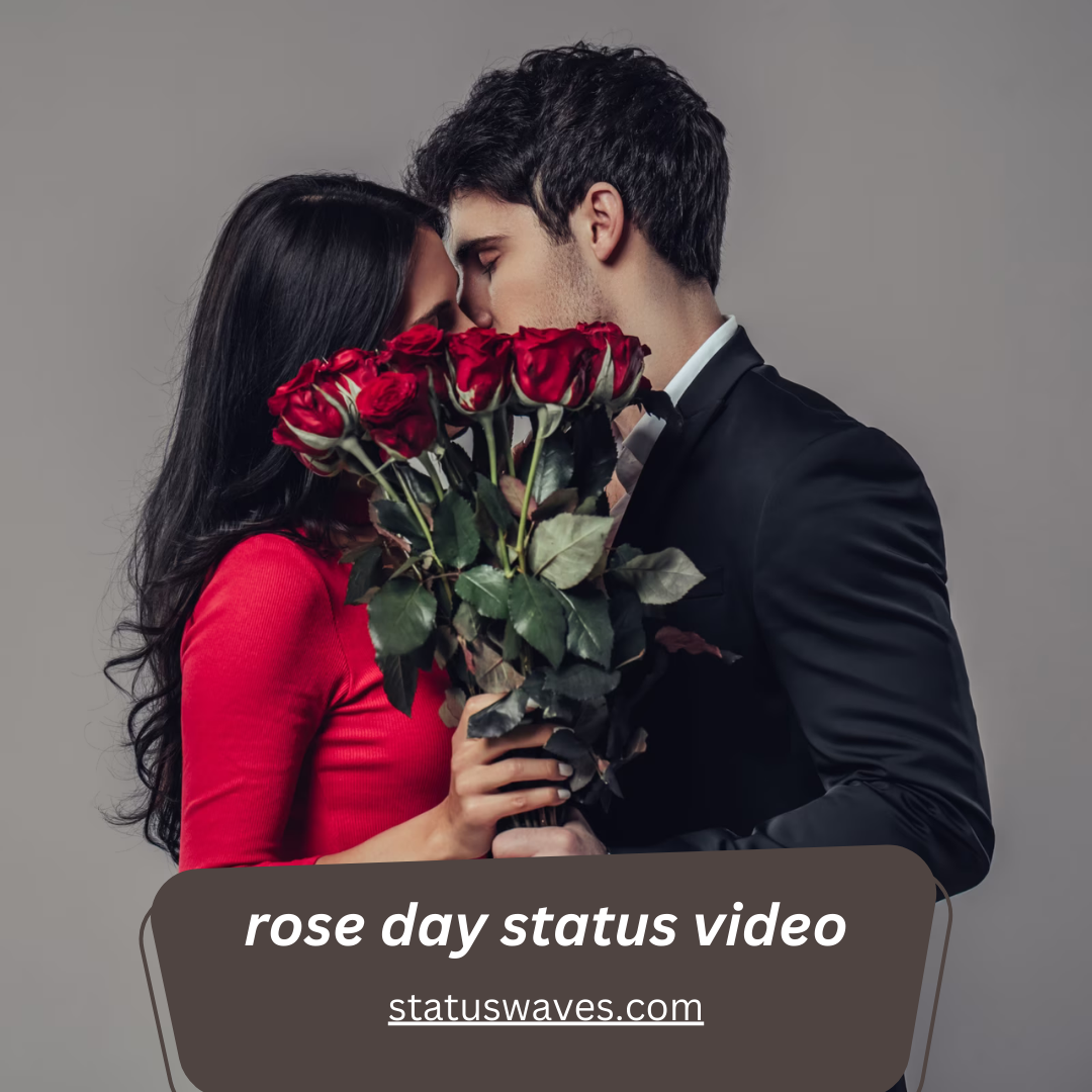 Rose day status video
